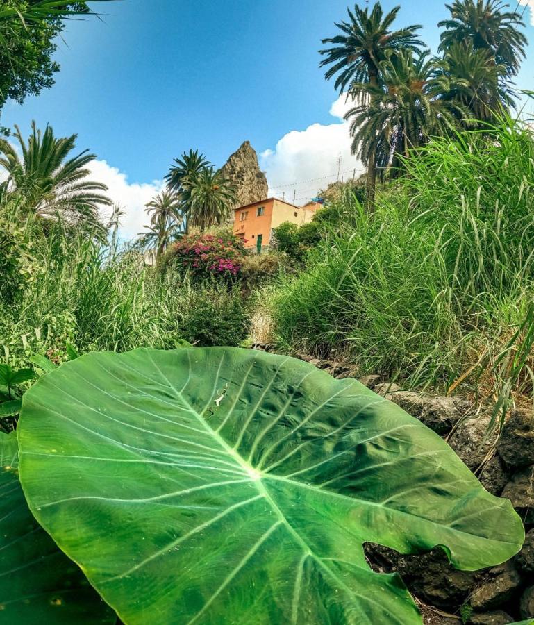 Casa Buganvilla Hermigua Exteriör bild